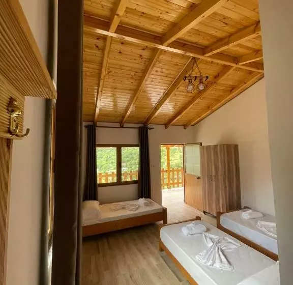 ペンション Turi Selcë