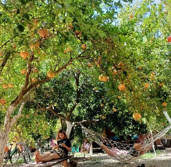 هتل کپسول Litost Cafe