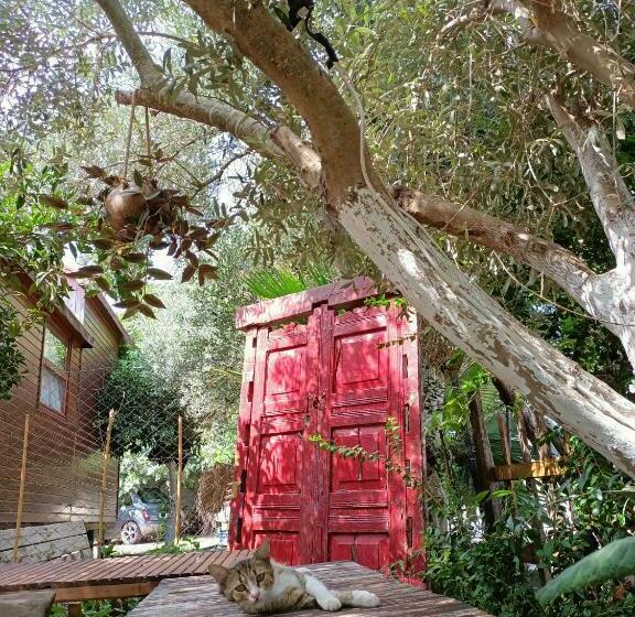 هتل کپسول Litost Cafe