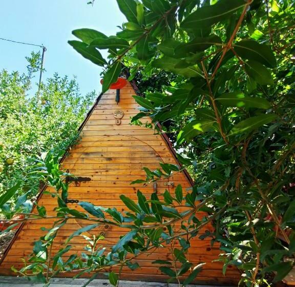 هتل کپسول Litost Cafe