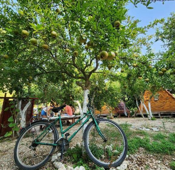 هتل کپسول Litost Cafe