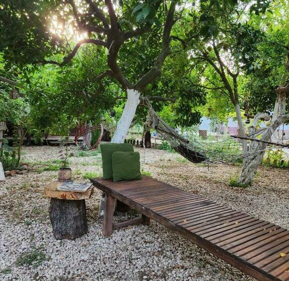 هتل کپسول Litost Cafe