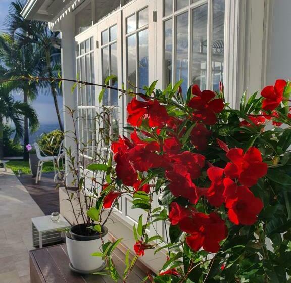 Bed and Breakfast Villa Manaaki