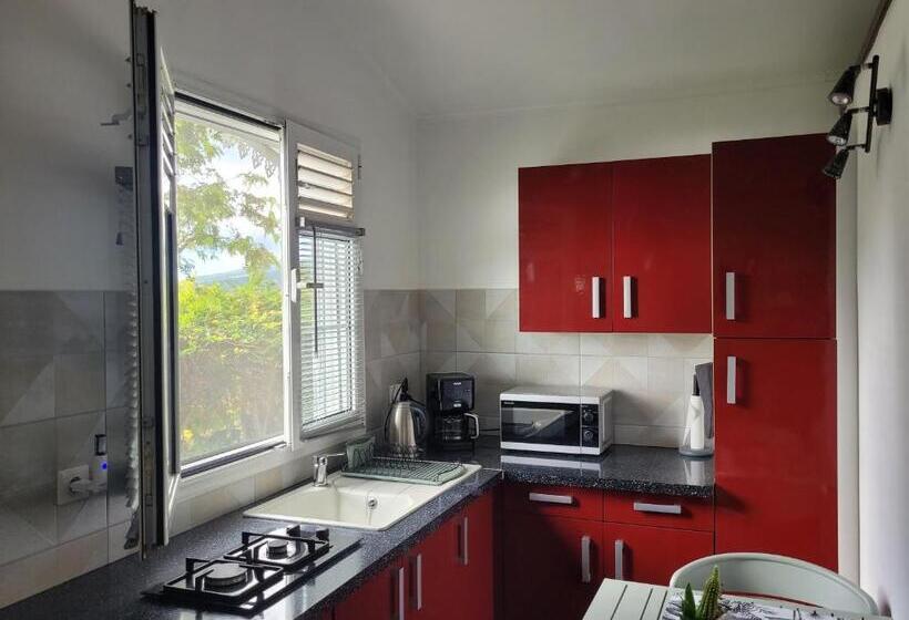 Bed and Breakfast Villa Manaaki