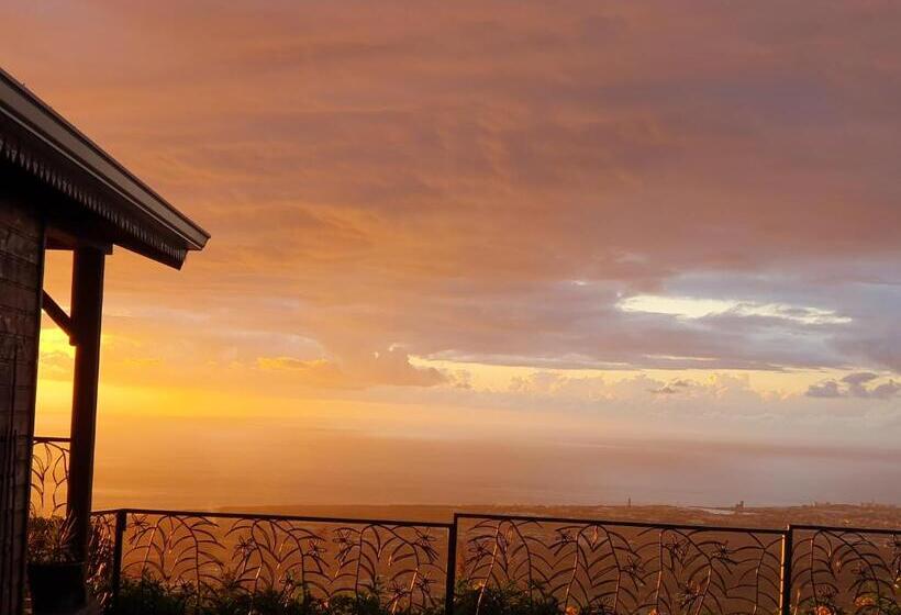 Bed and Breakfast Villa Manaaki