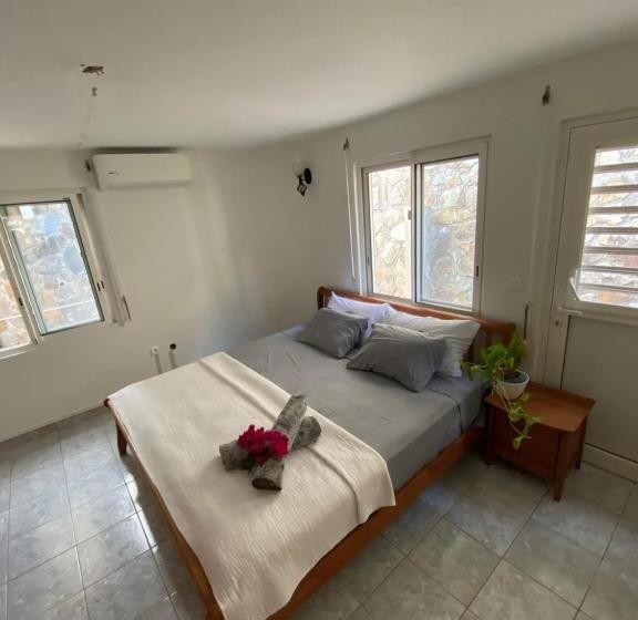 پانسیون Grand Case Palace