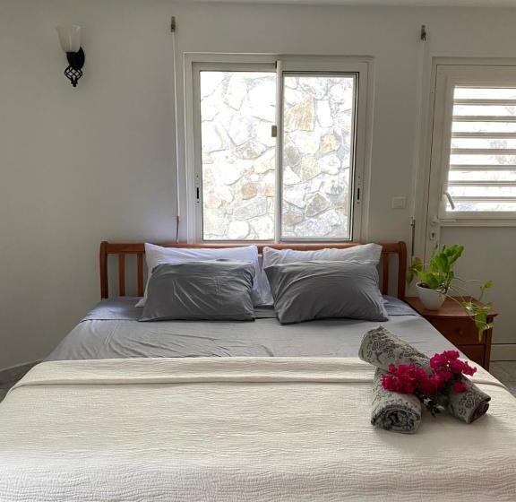 پانسیون Grand Case Palace