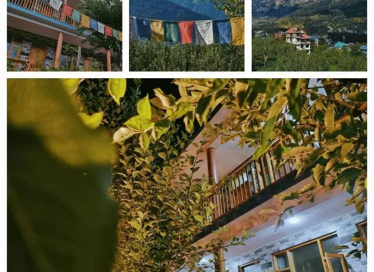ユースホステル Kihala Homestay