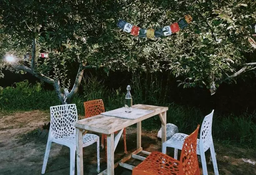 ユースホステル Kihala Homestay