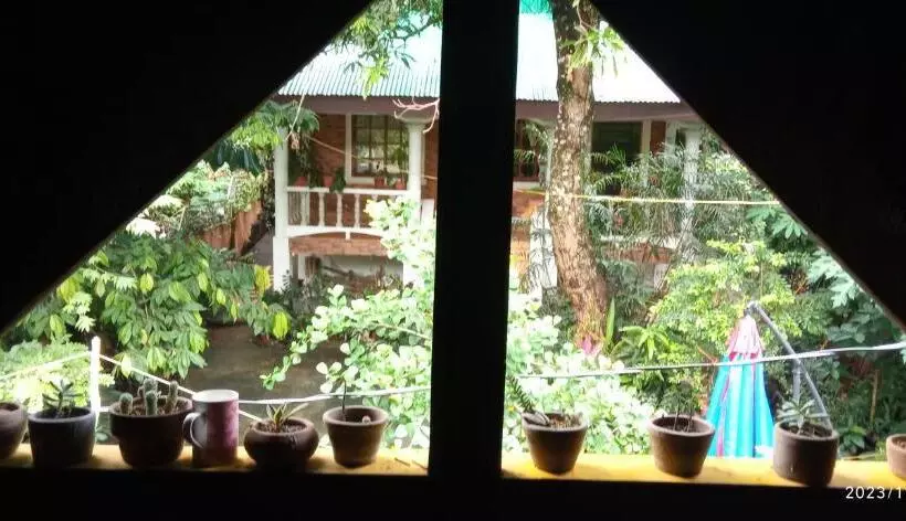 ペンション Dulangan Puerto Galera Transient Place