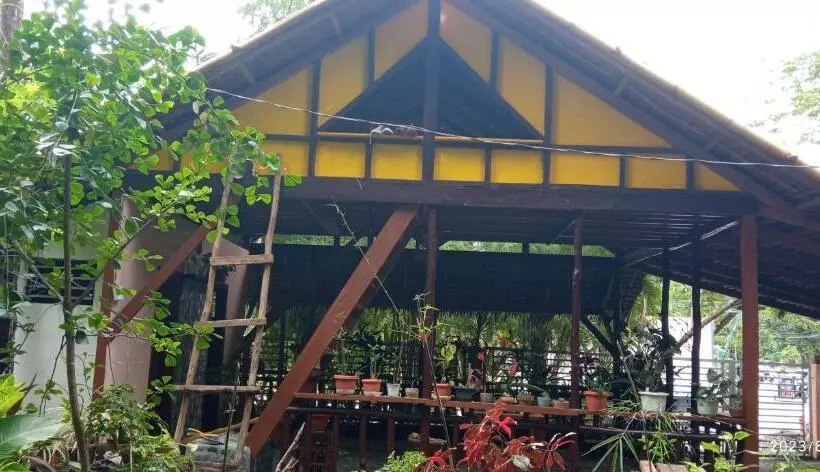 ペンション Dulangan Puerto Galera Transient Place