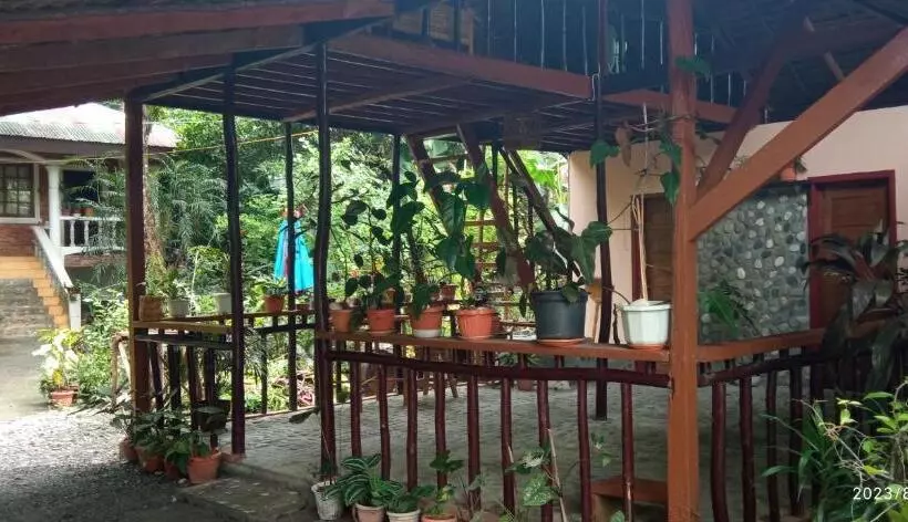 ペンション Dulangan Puerto Galera Transient Place