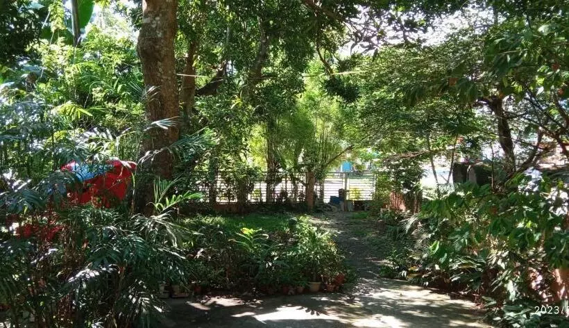 ペンション Dulangan Puerto Galera Transient Place