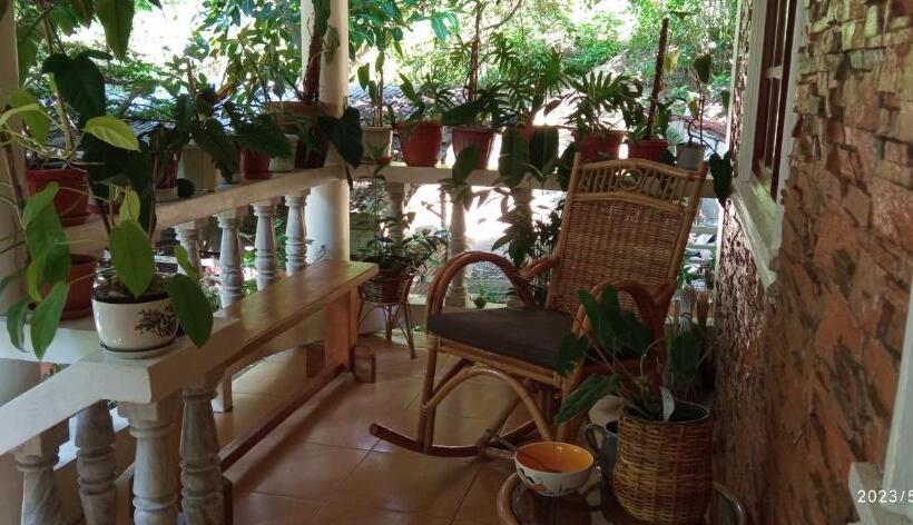 膳宿费 Dulangan Puerto Galera Transient Place