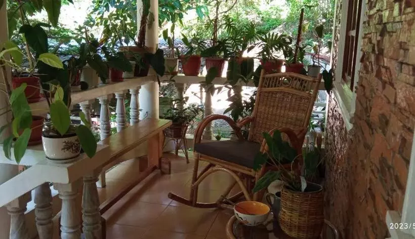 ペンション Dulangan Puerto Galera Transient Place