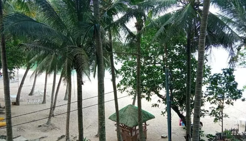 ペンション Dulangan Puerto Galera Transient Place