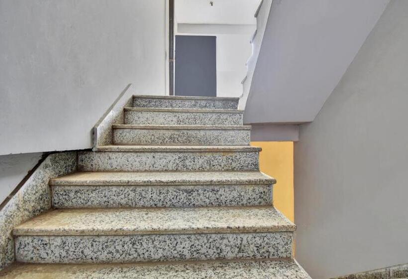 酒店 Oyo Flagship 81356  Royal Paradise