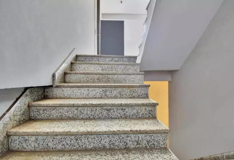 Hotelli Oyo Flagship 81356  Royal Paradise