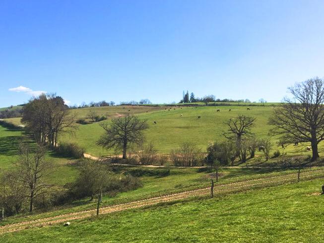 Отель Tiny House Et Chevaux