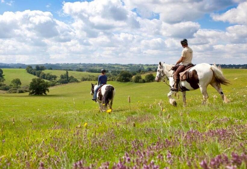 Отель Tiny House Et Chevaux
