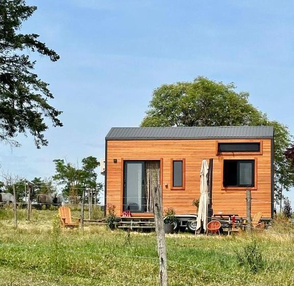 Отель Tiny House Et Chevaux