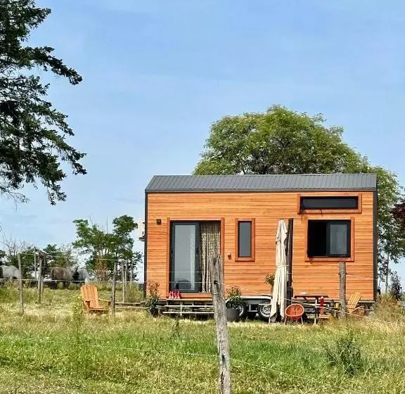 ホテル Tiny House Et Chevaux