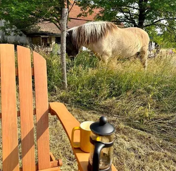 ホテル Tiny House Et Chevaux