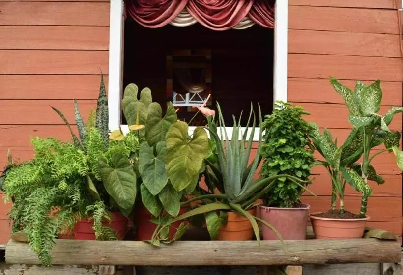 ペンション Posada Jurubirá