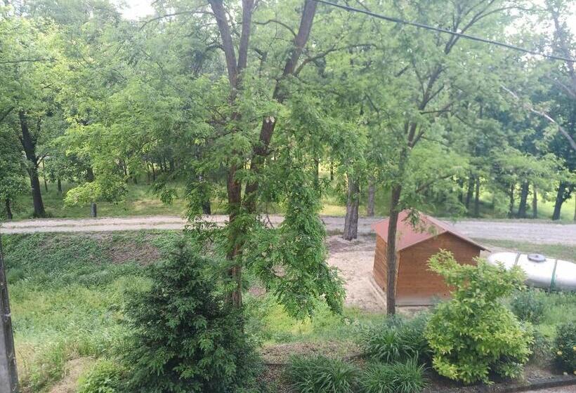 פנסיון Josephus Vendégház