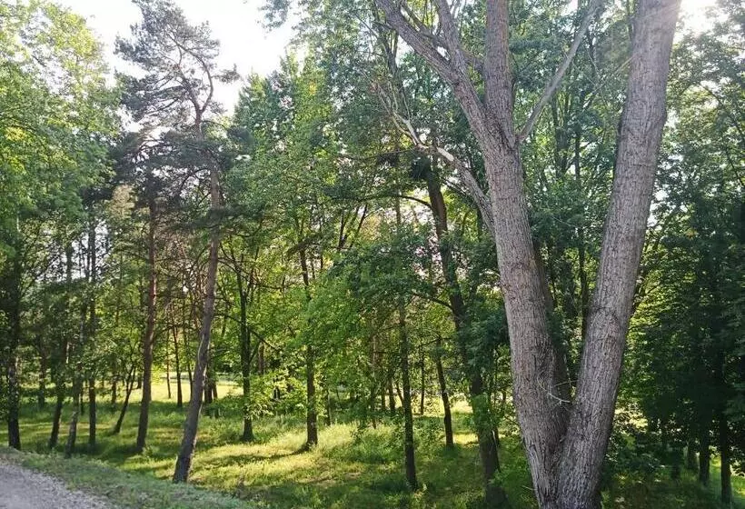 Majatalo Josephus Vendégház