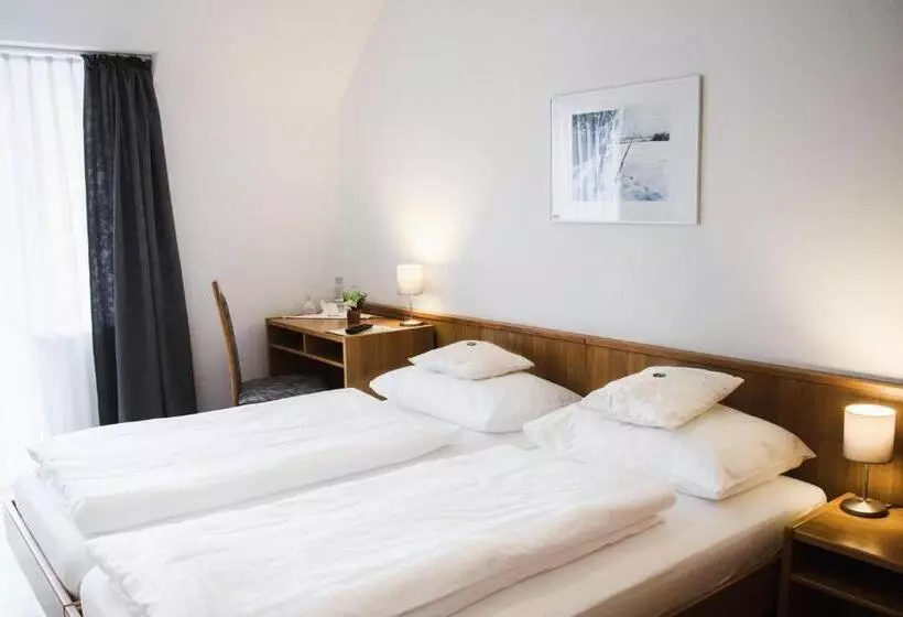 Hotelli Blaue Traube