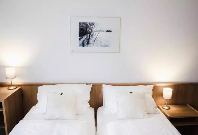 Hotelli Blaue Traube