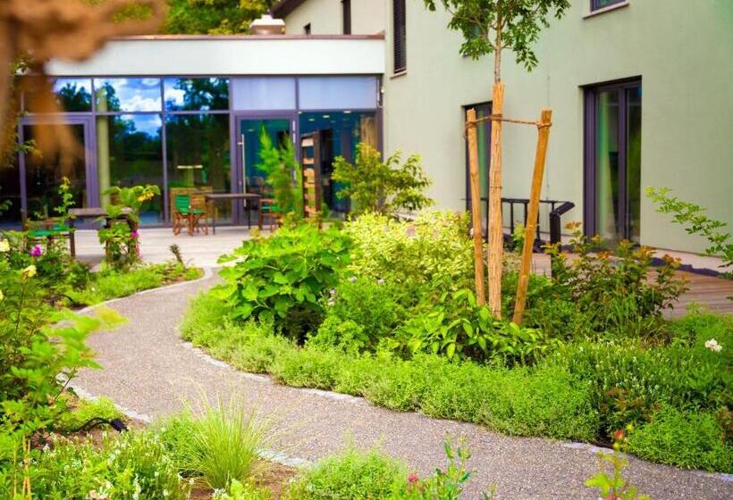 Отель Cavallestro Classic