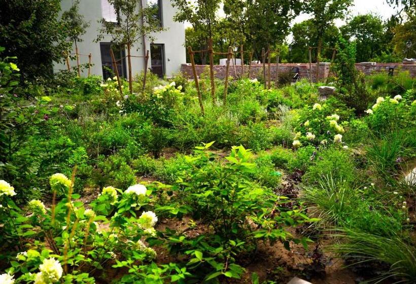 Отель Cavallestro Classic