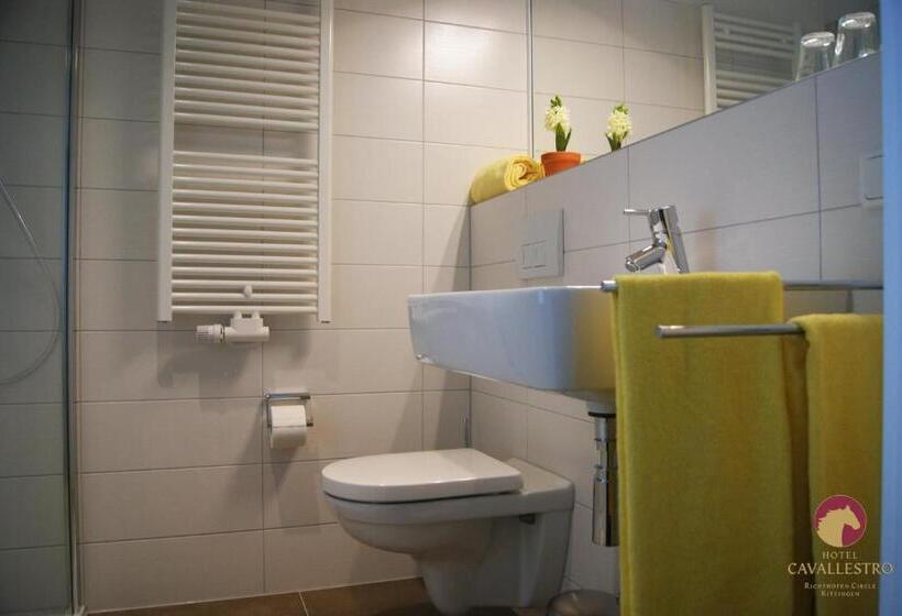 Отель Cavallestro Classic