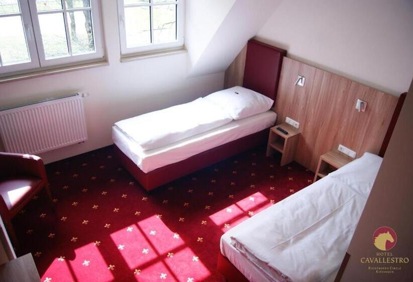 Отель Cavallestro Classic