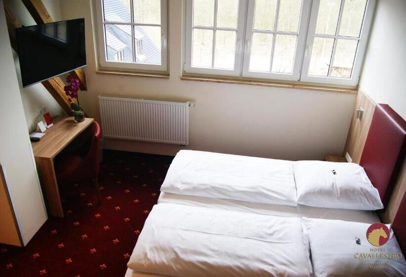 Отель Cavallestro Classic