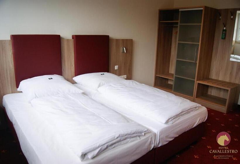 Отель Cavallestro Classic