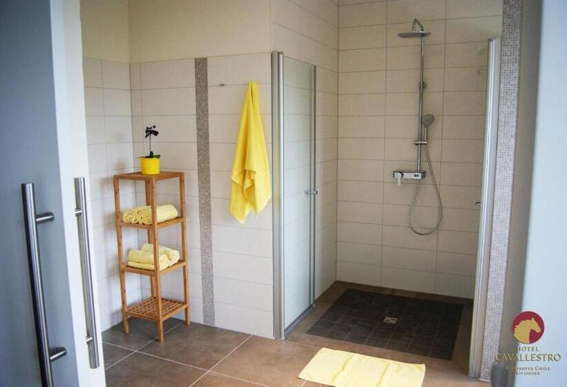 Отель Cavallestro Classic