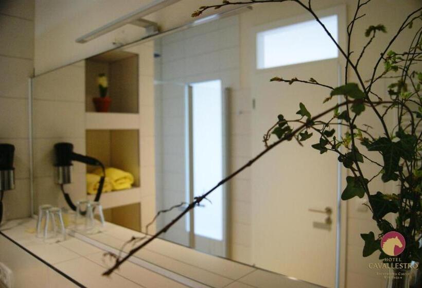 Отель Cavallestro Classic