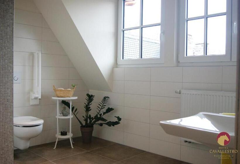 Отель Cavallestro Classic