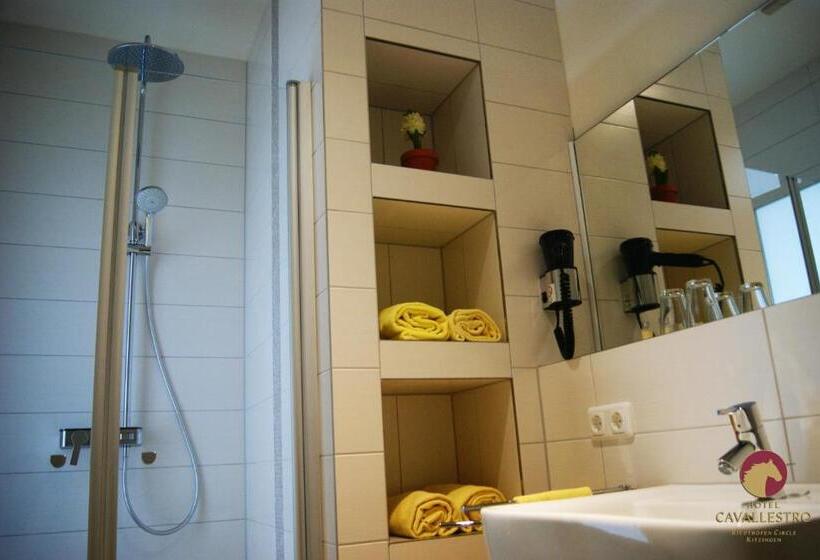 Отель Cavallestro Classic