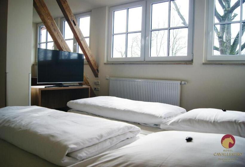 Отель Cavallestro Classic