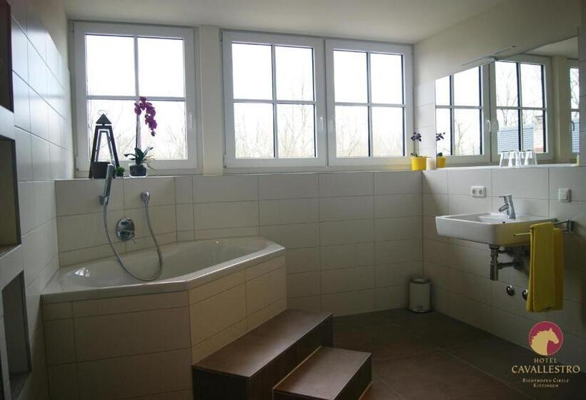 Отель Cavallestro Classic