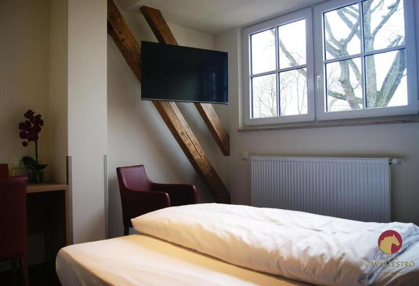 Отель Cavallestro Classic