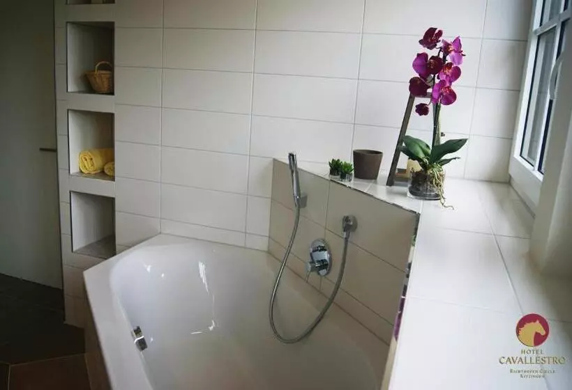 Hotelli Cavallestro Classic