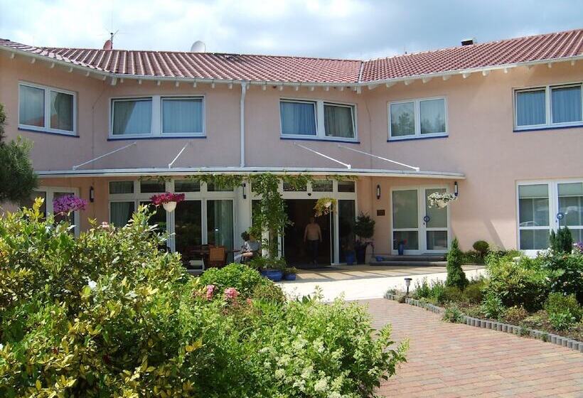 בית מלון כפרי Circle Inn