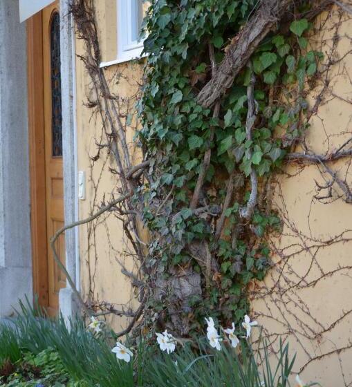 فندق Evangelische Akademie Tagungs