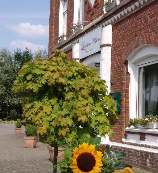 فندق Garni Landhaus Uttum