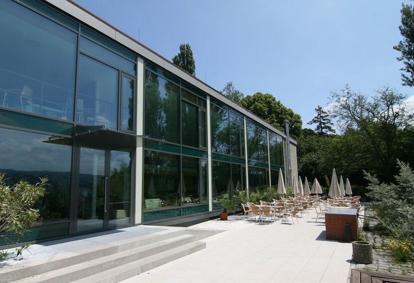 酒店 Haus Insel Reichenau